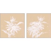 Framed 'Echinacea  2 Piece Art Print Set' border=