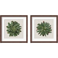 Framed Spherical Leaves 2 Piece Framed Art Print Set