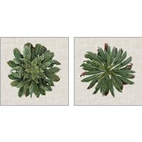 Framed Spherical Leaves 2 Piece Art Print Set