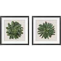 Framed 'Spherical Leaves 2 Piece Framed Art Print Set' border=