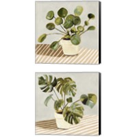 Framed 'Plant on Stripes 2 Piece Canvas Print Set' border=