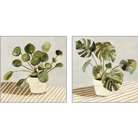 Framed 'Plant on Stripes 2 Piece Art Print Set' border=