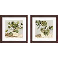 Framed 'Plant on Stripes 2 Piece Framed Art Print Set' border=