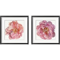 Framed 'Blossomed Peony  2 Piece Framed Art Print Set' border=