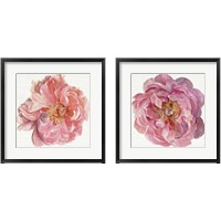 Framed 'Blossomed Peony  2 Piece Framed Art Print Set' border=