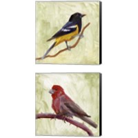 Framed Backyard Birds 2 Piece Canvas Print Set