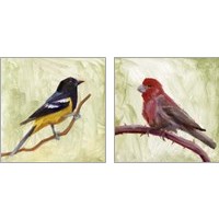Framed Backyard Birds 2 Piece Art Print Set