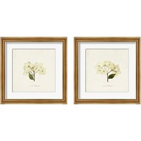 Framed 'Cornales Hydrangea 2 Piece Framed Art Print Set' border=