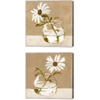 Framed Solitary Daisy 2 Piece Canvas Print Set