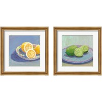 Framed Still Citrus 2 Piece Framed Art Print Set