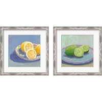 Framed 'Still Citrus 2 Piece Framed Art Print Set' border=