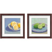 Framed Still Citrus 2 Piece Framed Art Print Set