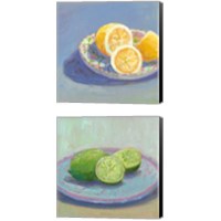 Framed 'Still Citrus 2 Piece Canvas Print Set' border=