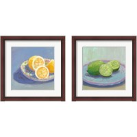 Framed 'Still Citrus 2 Piece Framed Art Print Set' border=