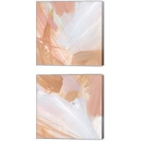 Framed 'Pink Vanilla 2 Piece Canvas Print Set' border=