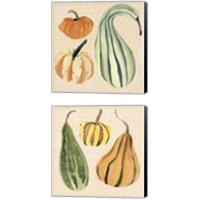 Framed 'Decorative Gourd 2 Piece Canvas Print Set' border=