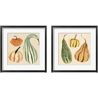 Framed 'Decorative Gourd 2 Piece Framed Art Print Set' border=