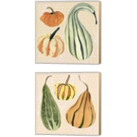 Framed 'Decorative Gourd 2 Piece Canvas Print Set' border=