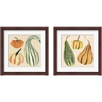 Framed 'Decorative Gourd 2 Piece Framed Art Print Set' border=