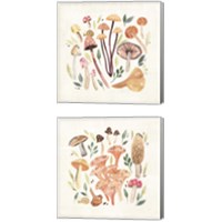 Framed 'Fungi Field Trip 2 Piece Canvas Print Set' border=