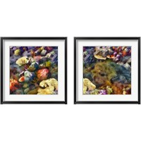 Framed 'Sea Life 2 Piece Framed Art Print Set' border=