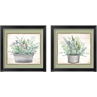 Framed 'Pot of Herbs 2 Piece Framed Art Print Set' border=
