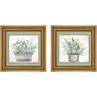 Framed Pot of Herbs 2 Piece Framed Art Print Set