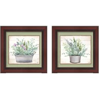Framed 'Pot of Herbs 2 Piece Framed Art Print Set' border=