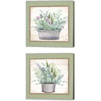 Framed 'Pot of Herbs 2 Piece Canvas Print Set' border=