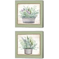 Framed 'Pot of Herbs 2 Piece Canvas Print Set' border=