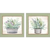 Framed 'Pot of Herbs 2 Piece Art Print Set' border=