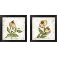 Framed 'Bloomin' Coneflowers 2 Piece Framed Art Print Set' border=