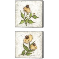 Framed 'Bloomin' Coneflowers 2 Piece Canvas Print Set' border=