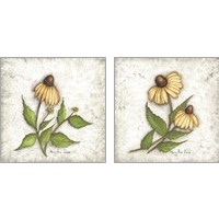 Framed 'Bloomin' Coneflowers 2 Piece Art Print Set' border=