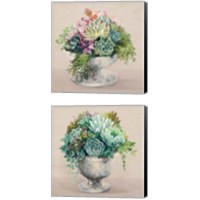 Framed Festive Succulents Blush 2 Piece Canvas Print Set