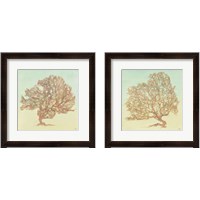 Framed 'Sea Fern 2 Piece Framed Art Print Set' border=