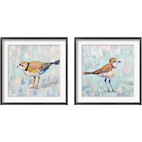 Framed 'Coastal Plover 2 Piece Framed Art Print Set' border=