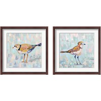 Framed 'Coastal Plover 2 Piece Framed Art Print Set' border=