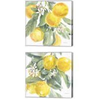 Framed Citrus Charm Lemons 2 Piece Canvas Print Set