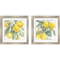 Framed Citrus Charm Lemons 2 Piece Framed Art Print Set