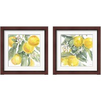 Framed 'Citrus Charm Lemons 2 Piece Framed Art Print Set' border=