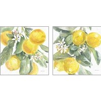 Framed Citrus Charm Lemons 2 Piece Art Print Set