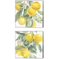 Framed 'Citrus Charm Lemons 2 Piece Canvas Print Set' border=