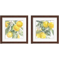 Framed 'Citrus Charm Lemons 2 Piece Framed Art Print Set' border=