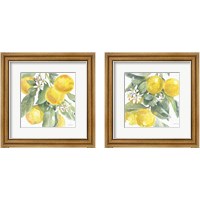 Framed Citrus Charm Lemons 2 Piece Framed Art Print Set