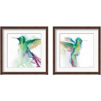 Framed Hummingbirds  2 Piece Framed Art Print Set