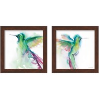 Framed Hummingbirds  2 Piece Framed Art Print Set
