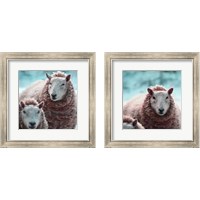 Framed 'Sheep Square 2 Piece Framed Art Print Set' border=
