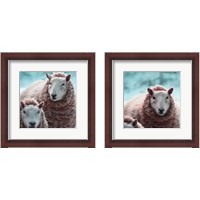 Framed 'Sheep Square 2 Piece Framed Art Print Set' border=