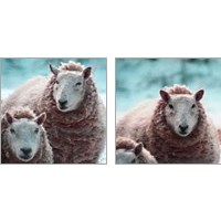 Framed 'Sheep Square 2 Piece Art Print Set' border=